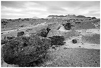 Colorful large fossilized logs and badlands of Chinle Formation, Long Logs area. Petrified Forest National Park, Arizona, USA. (black and white)