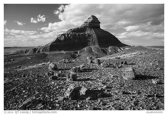 Petrified wood and Salomons Throne. Petrified Forest National Park (black and white)