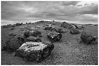 Large petrified wood logs and hill, Crystal Forest. Petrified Forest National Park ( black and white)
