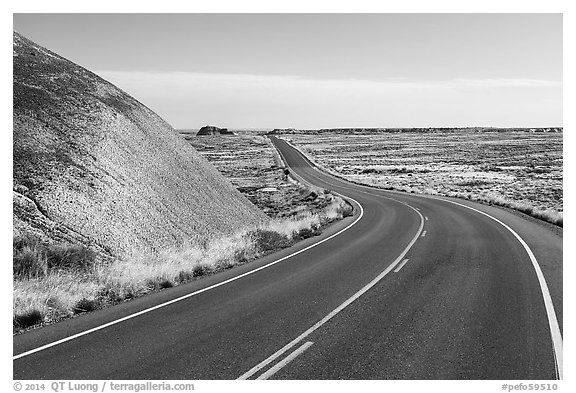Road near the Flattops. Petrified Forest National Park (black and white)