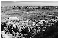 Valley covered with petrified wood, Jasper Forest. Petrified Forest National Park ( black and white)