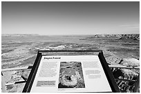 Interpretive sign, Jasper Forest. Petrified Forest National Park ( black and white)