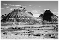 Conical hills carved from blue and red mudstone by erosion. Petrified Forest National Park ( black and white)