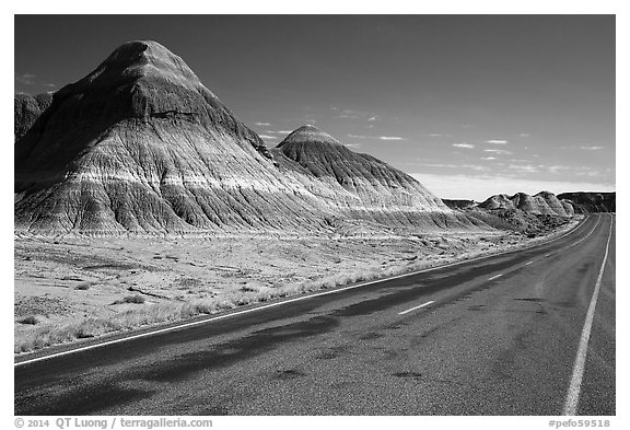 Road, The Tepees. Petrified Forest National Park (black and white)