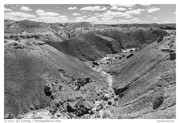 Gully in red badlands filled with petrified wood. Petrified Forest National Park (black and white)