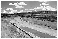 Dry desert wash. Petrified Forest National Park ( black and white)