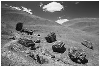 Red Desert badlands hills and black petrified logs. Petrified Forest National Park ( black and white)