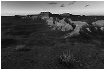 Last light on shrubs, Puerco Ridge. Petrified Forest National Park ( black and white)