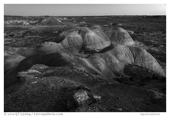 Badlands from Puerco Ridge, dusk. Petrified Forest National Park (black and white)