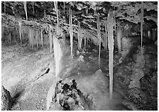 Frozen stalactites in Mossy Cave. Bryce Canyon National Park, Utah, USA. (black and white)
