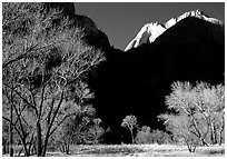Pictures of Zion NP