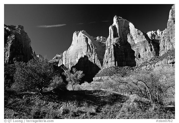 Court of the Patriarchs sandstone towers, morning. Zion National Park (black and white)