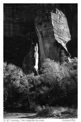 The Pulpit, Zion Canyon. Zion National Park (black and white)