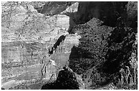 Cliffs near Hidden Canyon from above, late winter afternoon. Zion National Park ( black and white)