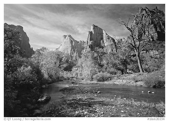 Court of the Patriarchs, Virgin River, and trees in fall color. Zion National Park (black and white)