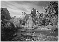 Court of the Patriarchs, Virgin River, and trees in fall color. Zion National Park ( black and white)