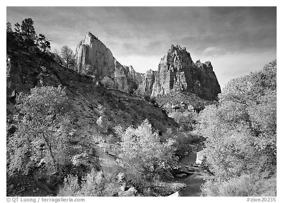 Court of the Patriarchs and Virgin River, afternoon. Zion National Park (black and white)