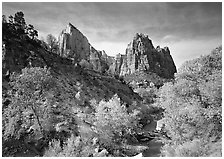 Court of the Patriarchs and Virgin River, afternoon. Zion National Park ( black and white)