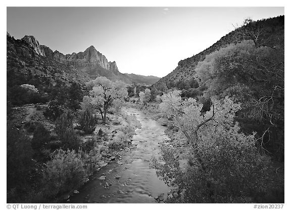 Virgin River and Watchman catching last sunrays of the day. Zion National Park (black and white)
