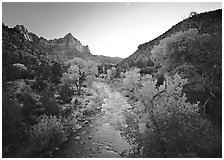 Virgin River and Watchman catching last sunrays of the day. Zion National Park ( black and white)