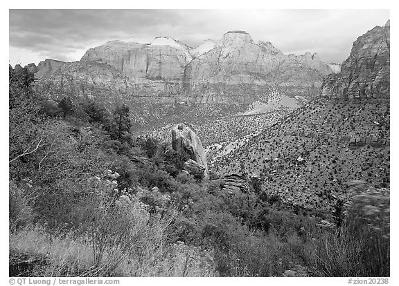 Towers of the Virgin in rainy weather. Zion National Park (black and white)