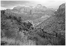 Towers of the Virgin in rainy weather. Zion National Park ( black and white)
