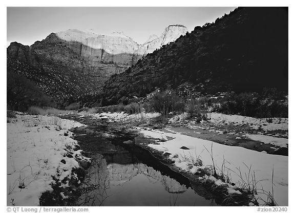 Snowy Pine Creek and Towers of the Virgin, sunrise. Zion National Park (black and white)