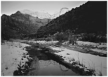Snowy Pine Creek and Towers of the Virgin, sunrise. Zion National Park ( black and white)