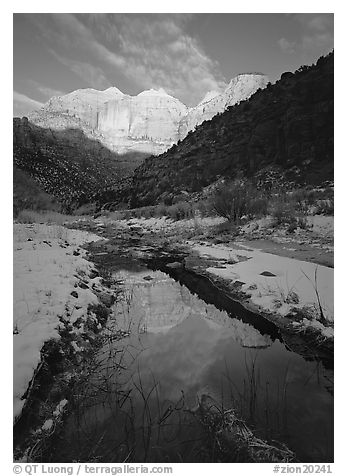 Pine Creek and Towers of  Virgin, sunrise. Zion National Park (black and white)