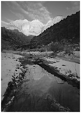 Pine Creek and Towers of  Virgin, sunrise. Zion National Park, Utah, USA. (black and white)