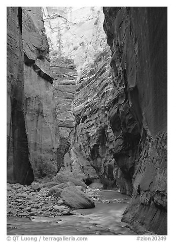 Virgin River and rock walls,  Narrows. Zion National Park (black and white)