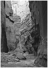 Virgin River and rock walls, the Narrows. Zion National Park ( black and white)
