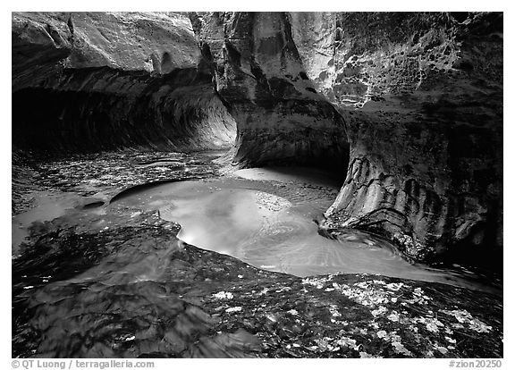 Water flowing in pools in  Subway, Left Fork of the North Creek. Zion National Park (black and white)