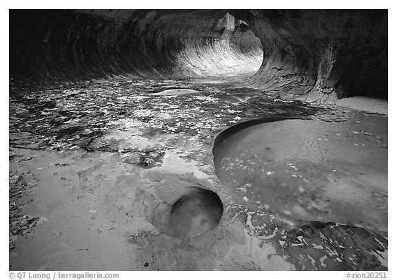 Pools and fallen leaves in autumn, the Subway. Zion National Park (black and white)
