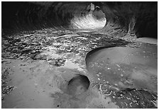 Pools and fallen leaves, the Subway. Zion National Park ( black and white)