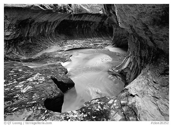 North Creek flowing over fallen leaves, the Subway. Zion National Park (black and white)