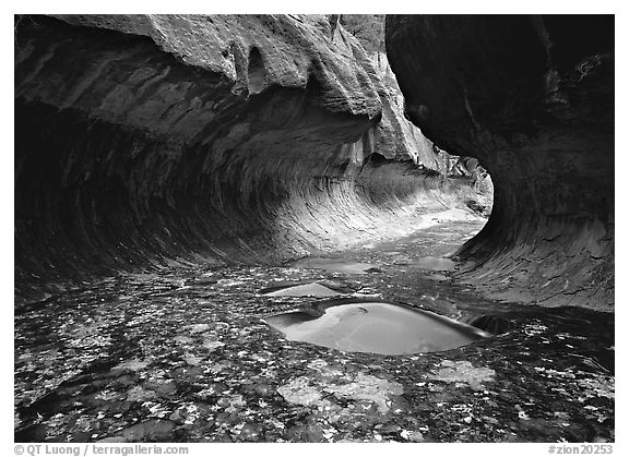 Narrow canyon carved in tunnel-like shape, the Subway. Zion National Park (black and white)