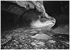 Narrow canyon carved in tunnel-like shape, the Subway. Zion National Park ( black and white)