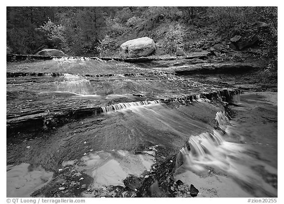 Terraced cascades in autumn, Left Fork of the North Creek. Zion National Park (black and white)