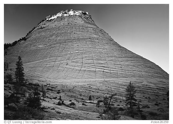 Checkerboard Mesa with top illuminated by sunrise. Zion National Park (black and white)