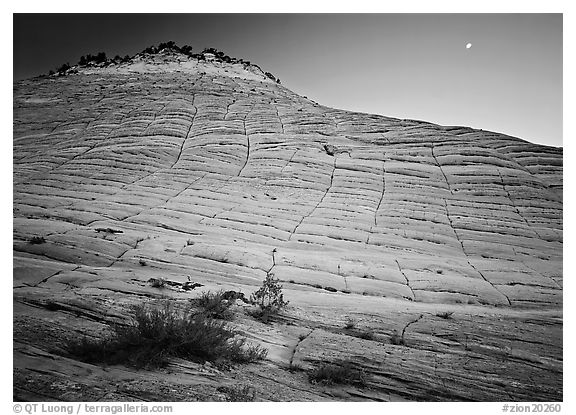 Checkerboard Mesa seen from base and moon. Zion National Park (black and white)