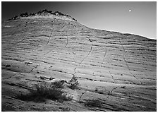 Checkerboard Mesa and moon. Zion National Park ( black and white)