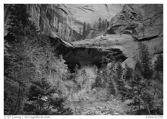 Double Arch Alcove, Middle Fork of Taylor Creek. Zion National Park (black and white)