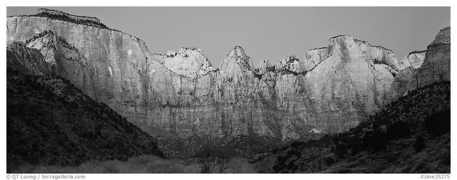 Towers of the Virgin cliffs at dawn. Zion National Park (black and white)