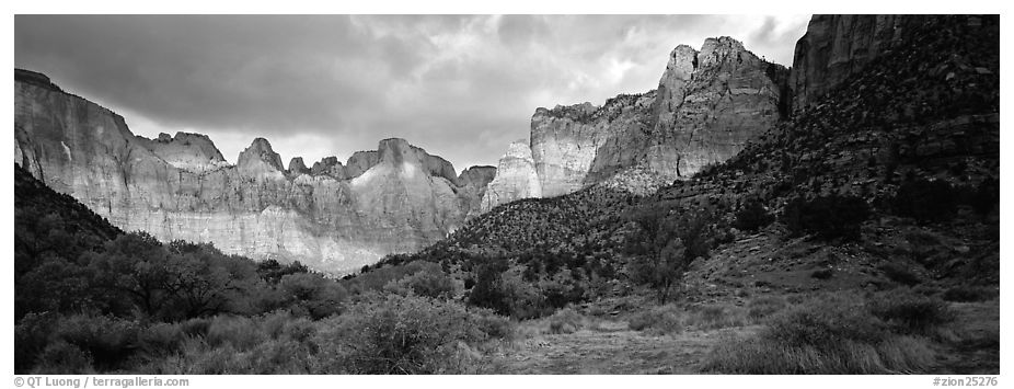 Amphitheater of tall towers. Zion National Park (black and white)