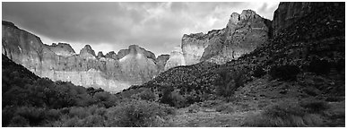 Amphitheater of tall towers. Zion National Park (Panoramic black and white)