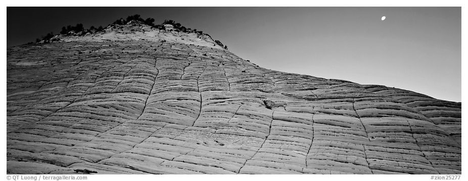 Checkered pattern on Checkboard Mesa. Zion National Park (black and white)