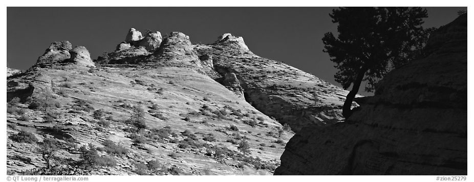 Sandstone swirls, Zion Plateau. Zion National Park (black and white)