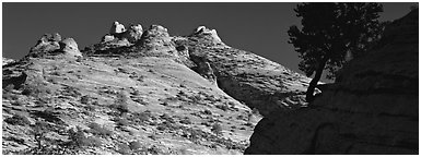 Sandstone swirls, Zion Plateau. Zion National Park (Panoramic black and white)