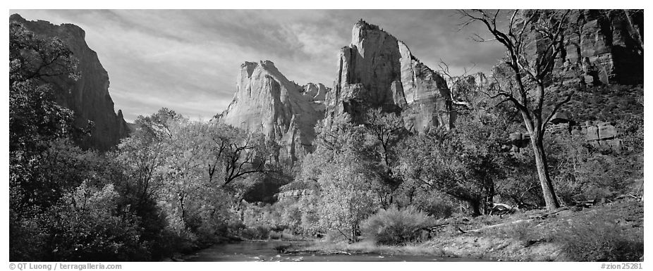 Landscape with trees and tall sandstone towers. Zion National Park (black and white)